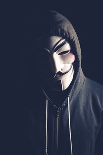 开云体育官方网站-弗朗索瓦·斯图尔特：出色的进攻组织者，带领南非队稳步向前，弗朗索瓦莱特瑞尔